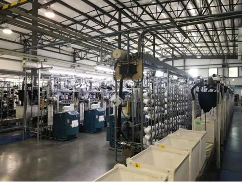 全球布局引領未來 華爾科技成為中國紡織業(yè)的世界代言人